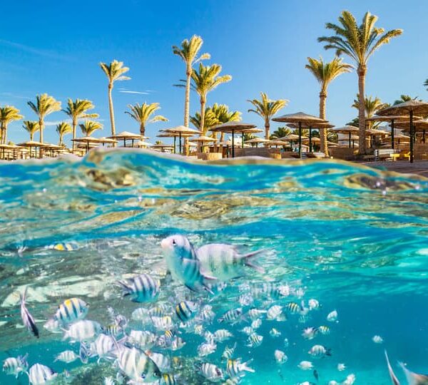 Летим в Египет от 9 050 000 сум